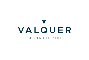 Valquer logo